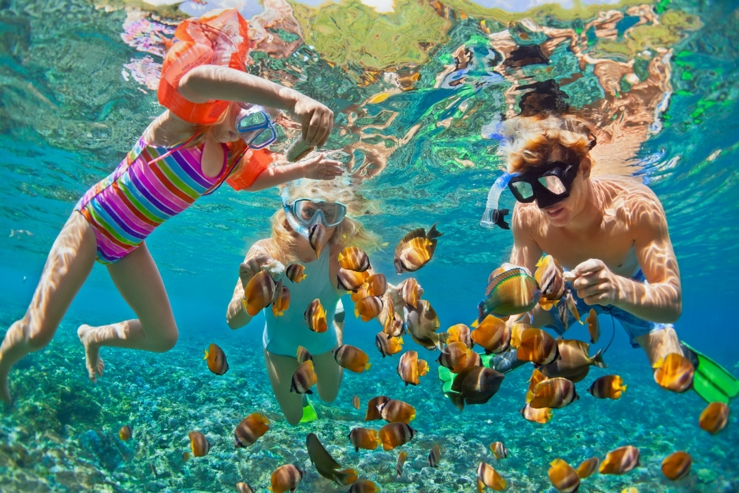 Snorkelling in Sayulita